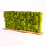 Tischtrennwand, Mooswand Ballenmoos Apfelgrün Modell Schweiz auf Eichenfuß mit „schweizer Kante“ - 1