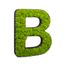 Buchstaben mit Islandmoos