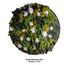 Moosbild Wild Hydrangea WHITE versch. Größen auf Holzfaserplatte anthrazit - 2