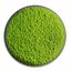 DEAL: Moosbild Rund mit Islandmoos
