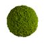 Moosball mit Islandmoos
