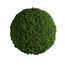 Moosball mit Islandmoos