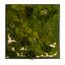 Moosbild Gigant Plateau mit versch. Moosen - 200 x 200 cm Pflanzen & Moos Mix auf Holzfaserplatte schwarz lackiert matt - 2