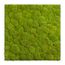 Moosbild mit Kugelmoos - 80 x 80 cm - Holzrahmen weiß lackiert - 2