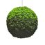 DEAL: Moosball Islandmoos Verlauf 