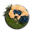 Moosbild Bärenfell mit Hortensien light Orange & Blue