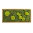 Moosbild mit Kugelmoos und Waldmoos - 57 x 27 cm - Holzrahmen Eiche geölt - 2