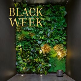 Black Week