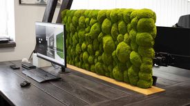Tischtrennwand, Mooswand Ballenmoos Apfelgrün Modell Schweiz auf Eichenfuß mit „schweizer Kante“ - 2