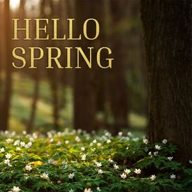 Hello Spring