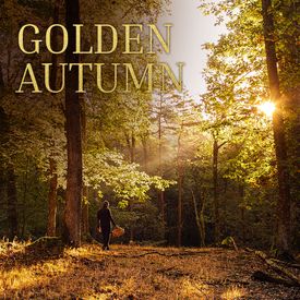 Golden Autumn