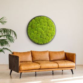 Moosbild Rund Kugelmoos Apfelgrün auf Holzfaserplatte anthrazit - 1