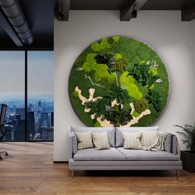 Moosbild Gigant Plateau 