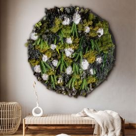 Moosbild Wild Hydrangea WHITE versch. Größen auf Holzfaserplatte anthrazit - 1