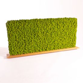 Tischtrennwand, Mooswand Islandmoos Apfelgrün Modell Schweiz auf Eichenfuß mit „schweizer Kante“ - 1