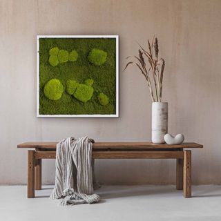 Moosbild mit Kugelmoos und Waldmoos - 55 x 55 cm - Holzrahmen weiß lackiert - 1