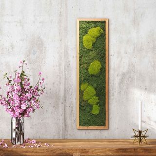 Moosbild mit Kugelmoos und Waldmoos - 70 x 20 cm - Holzrahmen Lärche geölt - 1