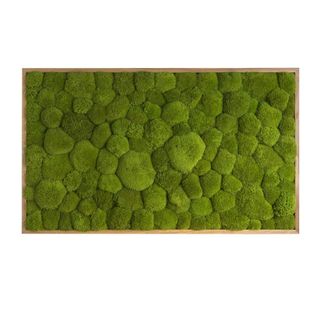 Moosbild mit Kugelmoos - 100 x 60 cm - Holzrahmen Eiche geölt - 2