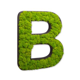 Buchstaben mit Islandmoos