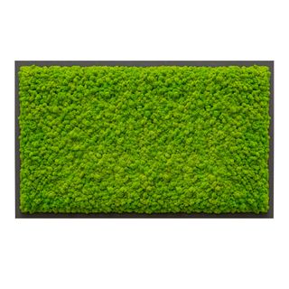 Moosbild mit Islandmoos - 100 x 60 cm - Holzfaserplatte anthrazit - 2