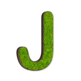 Buchstaben mit Islandmoos