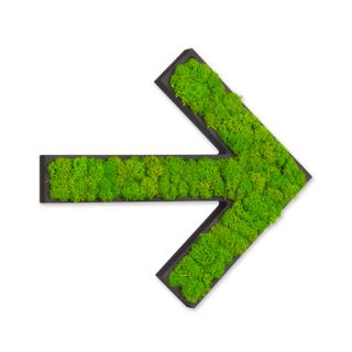 Sonderzeichen mit Islandmoos