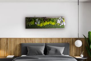 Moosbild mit Moosmix und Pflanzen 140 x 40 cm auf Holzfaserplatte anthrazit - 1