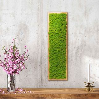 Moosbild mit Islandmoos - 70 x 20 cm - Holzrahmen Lärche geölt - 1