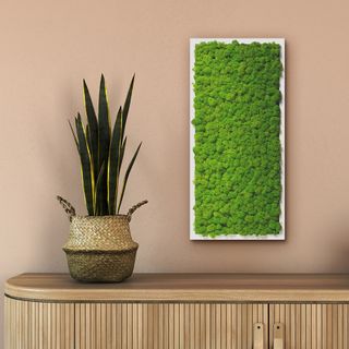 Moosbild mit Islandmoos - 57 x 27 cm - Holzrahmen weiß lackiert - 1