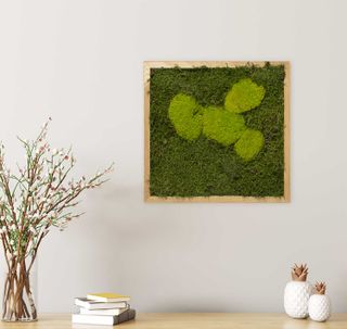 Moosbild mit Kugelmoos und Waldmoos - 35 x 35 cm - Holzrahmen Eiche geölt - 1