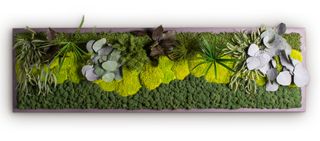 Moosbild mit Moosmix und Pflanzen 140 x 40 cm auf Holzfaserplatte anthrazit - 2