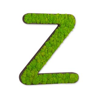 Buchstaben mit Islandmoos