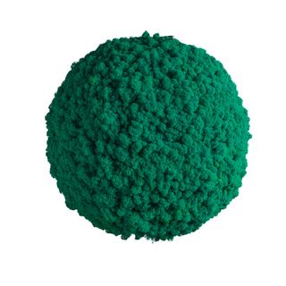 Moosball mit Islandmoos