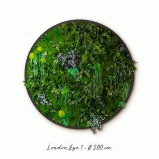 Moosbild Gigant Rund Nature Eye London No. 1 Ø 118 cm Dschungel auf Holzfaserplatte anthrazit - 2