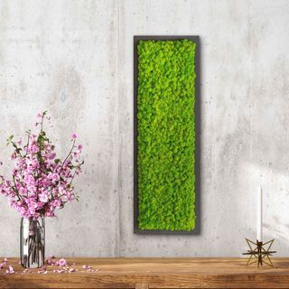 Moosbild mit Islandmoos - 70 x 20 cm - Holzfaserplatte anthrazit - 1