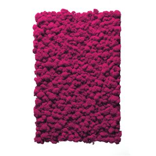Moospaneel Napoleo PREMIUM Islandmoos Flamingo 38x58cm - 1