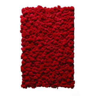 Moospaneel Napoleo PREMIUM Islandmoos Chili 38x58cm - 1