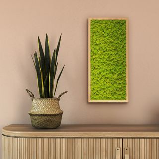 Moosbild mit Islandmoos - 57 x 27 cm - Holzrahmen Eiche geölt - 1