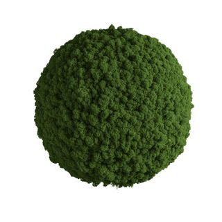 Moosball mit Islandmoos