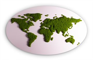 Moosbild Weltkarte Islandmoos apfelgrün oval 200 x 121 cm auf Pappelholz weiß lackiert - 2