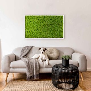 Moosbild mit Islandmoos - 100 x 60 cm - Holzrahmen weiß lackiert - 1