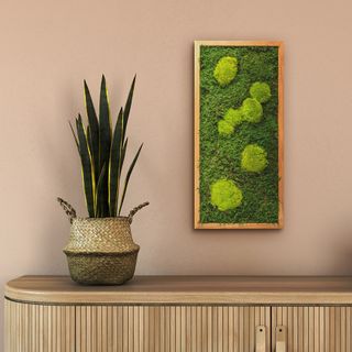 Moosbild mit Kugelmoos und Waldmoos - 57 x 27 cm - Holzrahmen Eiche geölt - 1