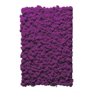 Moospaneel Napoleo PREMIUM Islandmoos Purpur 38x58cm - 1