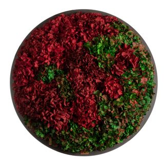 Moosbild Hortensien rot / grün - 2