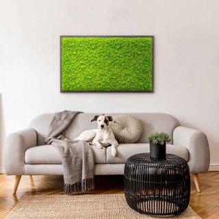 Moosbild mit Islandmoos - 100 x 60 cm - Holzfaserplatte anthrazit - 1