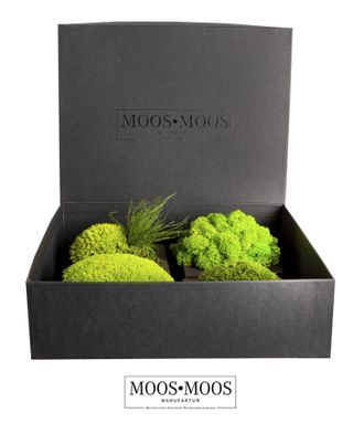 MOOS•MOOS EASY Musterbox - 1