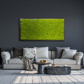 Moosbild Gigant Islandmoos 182 x 82,5 cm auf Holzfaserplatte anthrazit - 1