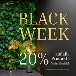 Black Week 🖤 jetzt 20% auf alle* Artikel sparen mit dem Code black20