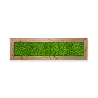 Deal: Moosbild mit Islandmoos