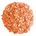 Hortensien Light Orange